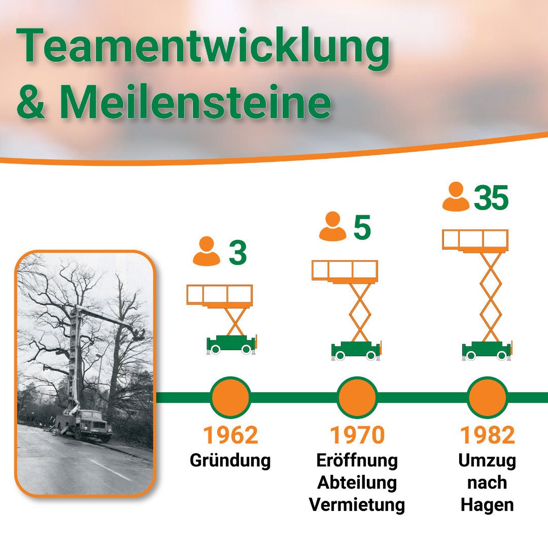 Teamentwicklung & Meilensteine Website